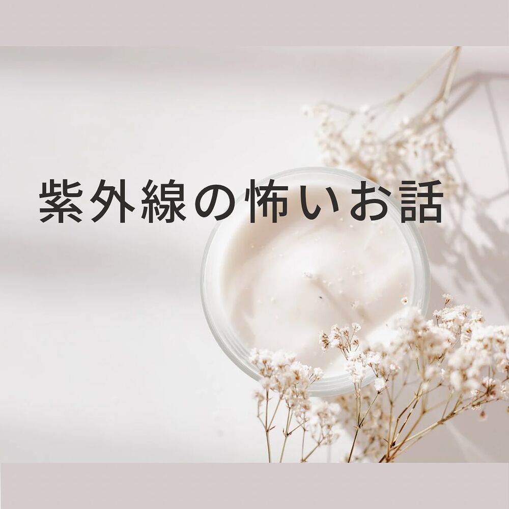 画像1276