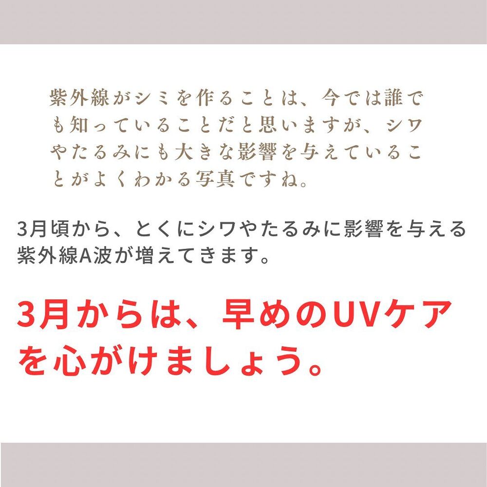 画像1278